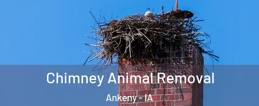 Chimney Animal Removal Ankeny - IA