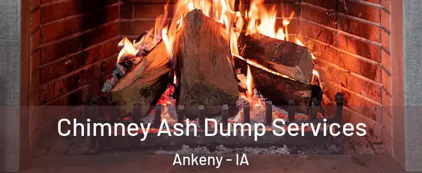  Chimney Ash Dump Services Ankeny - IA