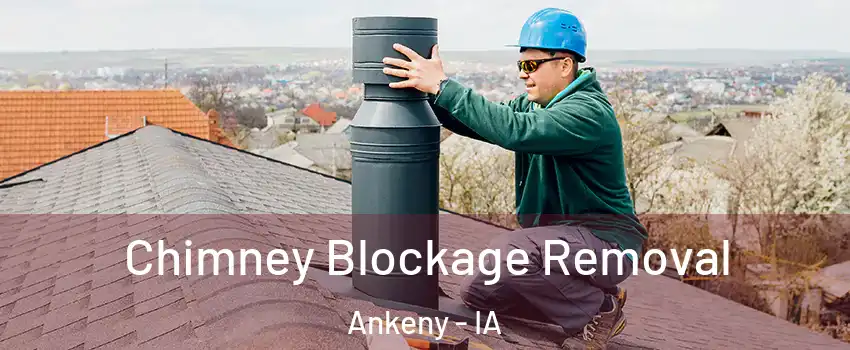  Chimney Blockage Removal Ankeny - IA