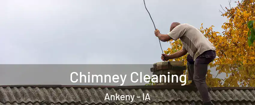  Chimney Cleaning Ankeny - IA