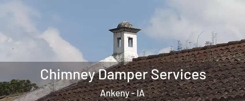  Chimney Damper Services Ankeny - IA