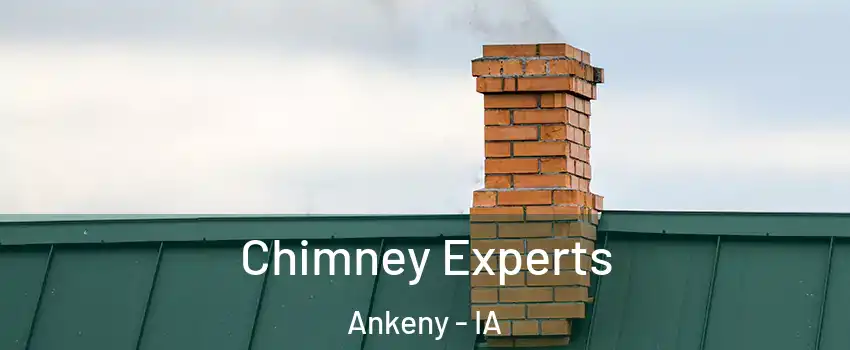 Chimney Experts Ankeny - IA