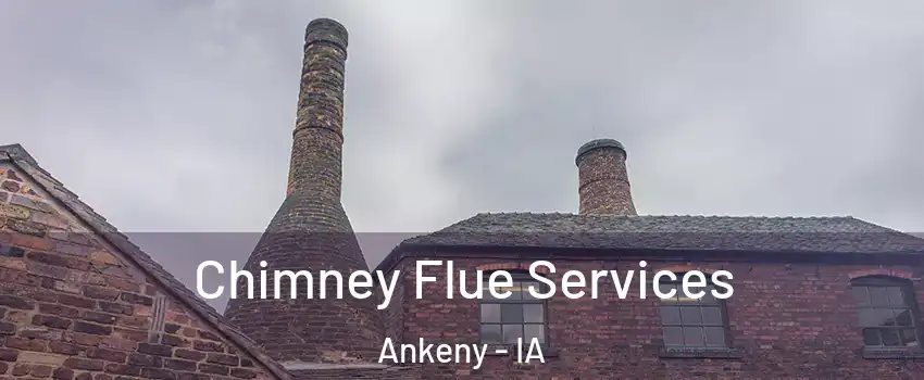  Chimney Flue Services Ankeny - IA