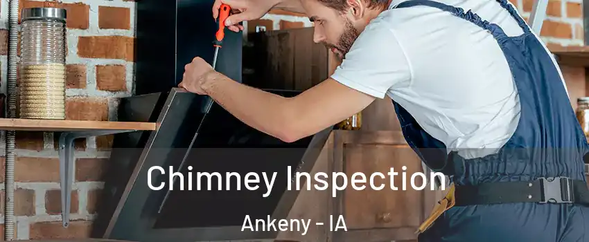  Chimney Inspection Ankeny - IA