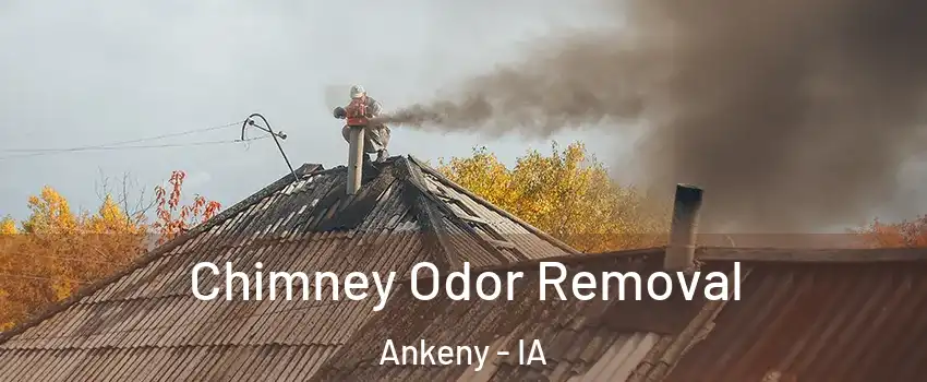  Chimney Odor Removal Ankeny - IA