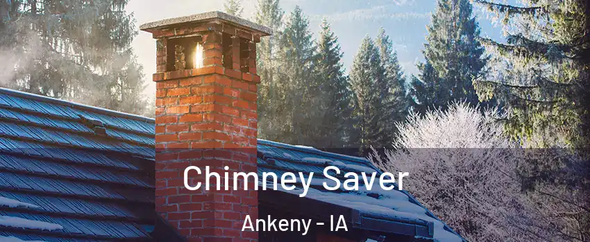  Chimney Saver Ankeny - IA
