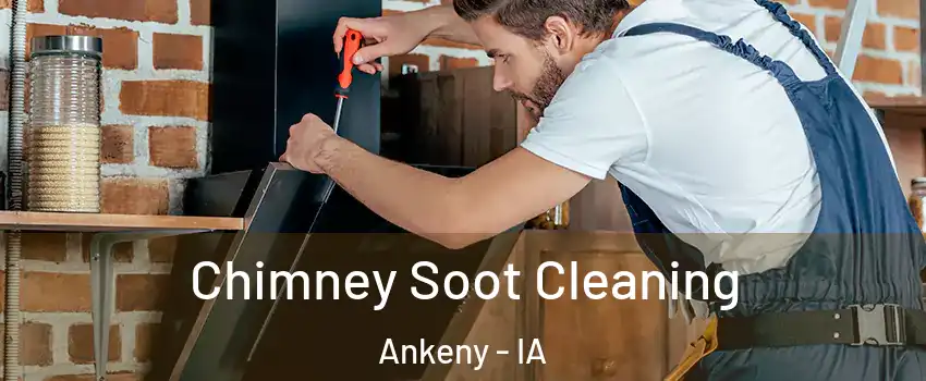  Chimney Soot Cleaning Ankeny - IA