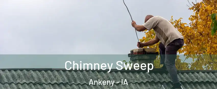  Chimney Sweep Ankeny - IA