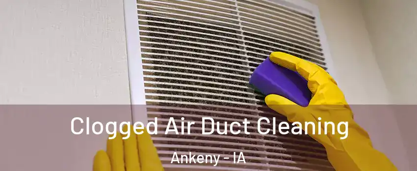  Clogged Air Duct Cleaning Ankeny - IA