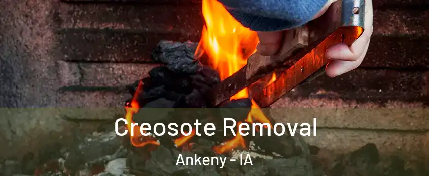  Creosote Removal Ankeny - IA
