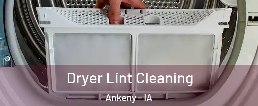  Dryer Lint Cleaning Ankeny - IA