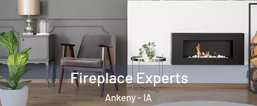  Fireplace Experts Ankeny - IA