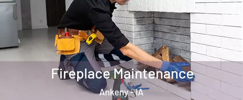  Fireplace Maintenance Ankeny - IA