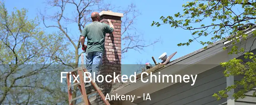  Fix Blocked Chimney Ankeny - IA