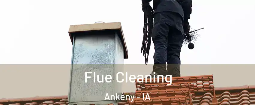  Flue Cleaning Ankeny - IA