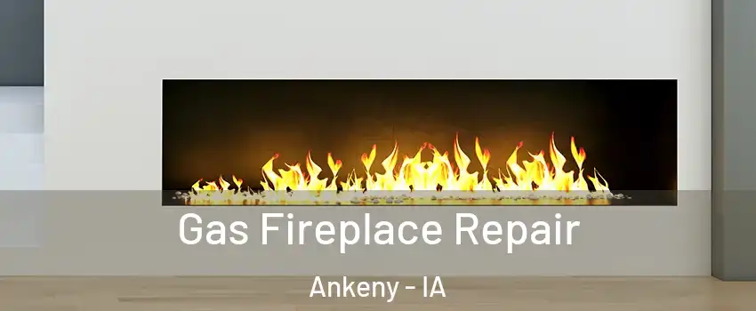  Gas Fireplace Repair Ankeny - IA