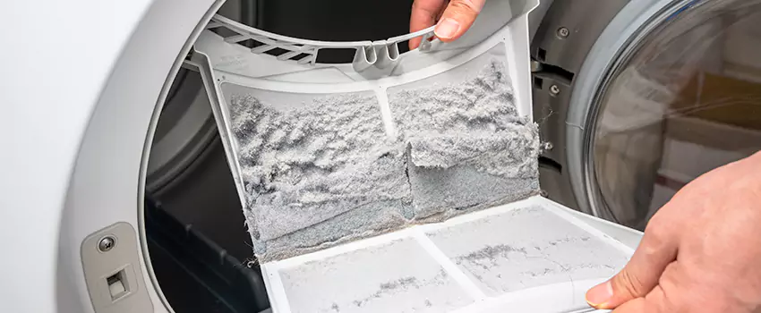 Best Dryer Lint Removal Company in Ankeny, Iowa