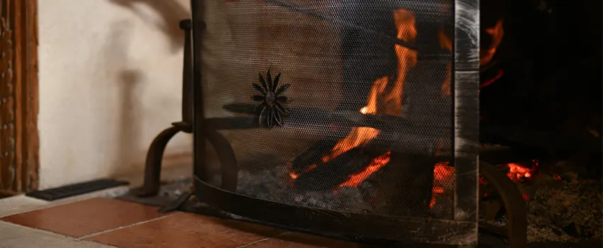 Electric Metal Fireplace installation Services in Ankeny, IA