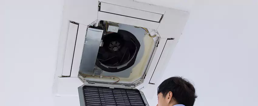 Benefits of Professional Air Duct Cleaning in Ankeny, Iowa