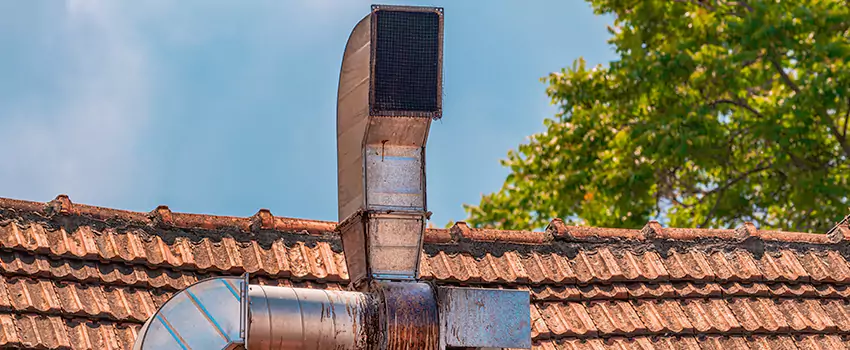 Chimney Blockage Removal in Ankeny, Iowa