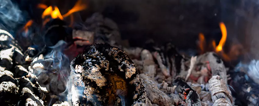Creosote Removal Experts in Ankeny, IA