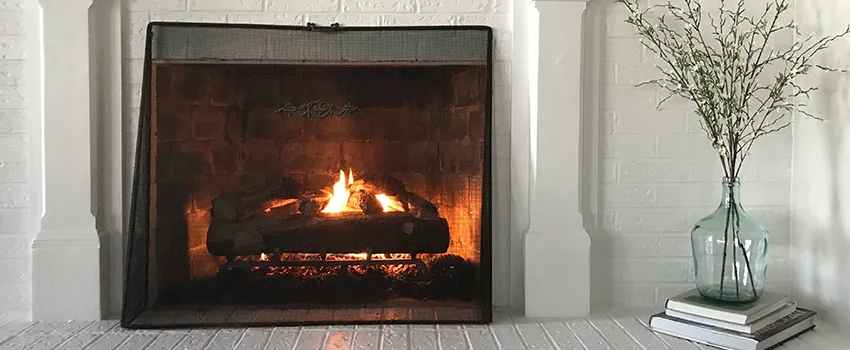 Cost-Effective Fireplace Mantel Inspection And Maintenance in Ankeny, IA