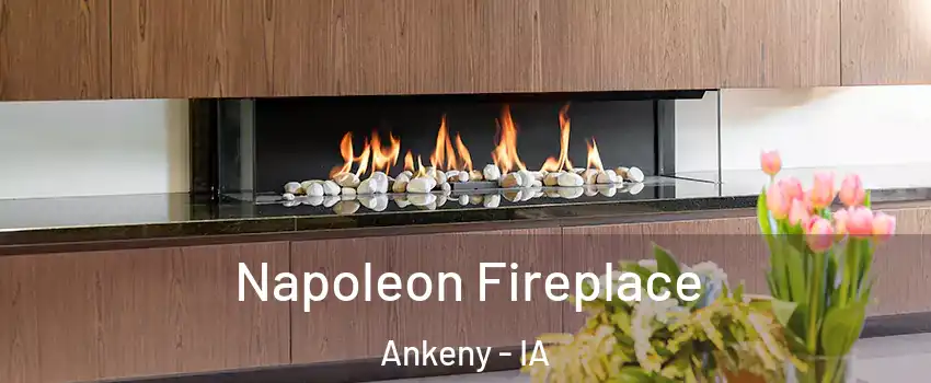  Napoleon Fireplace Ankeny - IA